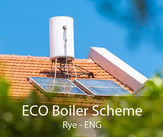 ECO Boiler Scheme Rye - ENG
