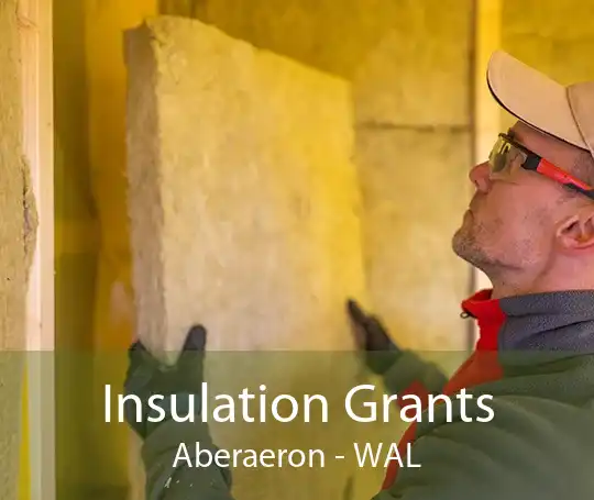 Insulation Grants Aberaeron - WAL