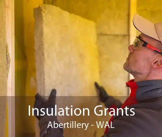 Insulation Grants Abertillery - WAL