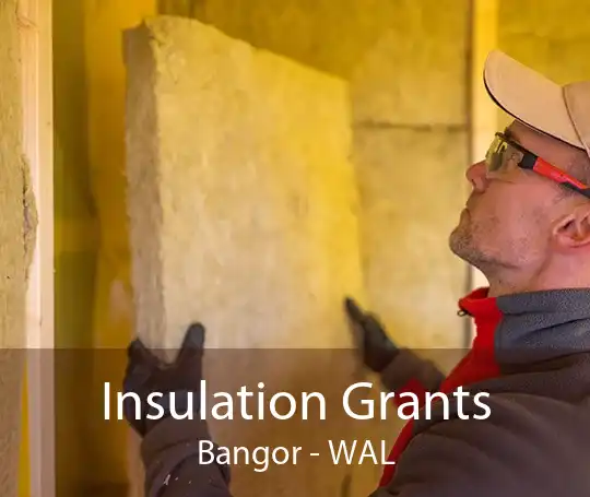 Insulation Grants Bangor - WAL