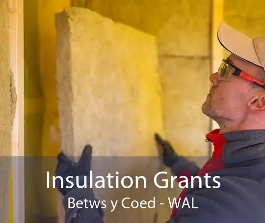 Insulation Grants Betws y Coed - WAL