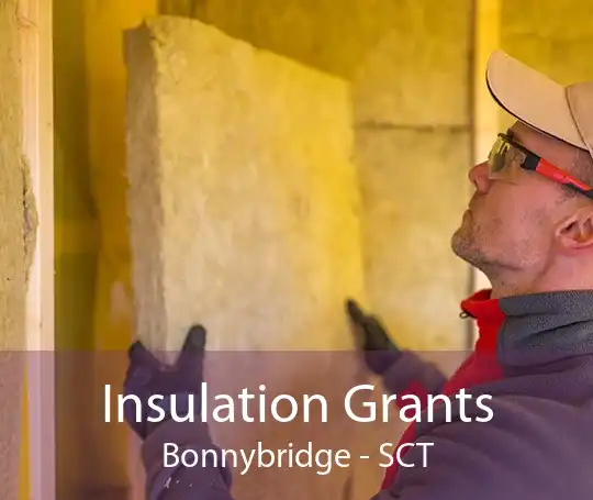 Insulation Grants Bonnybridge - SCT
