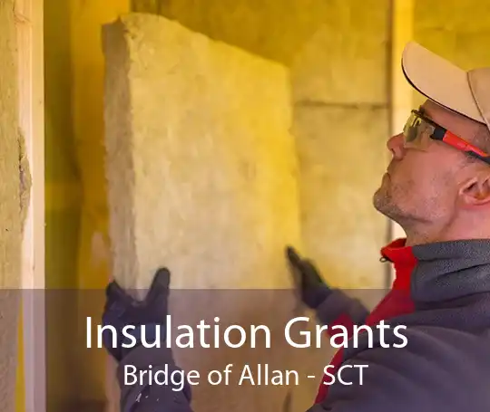 Insulation Grants Bridge of Allan - SCT