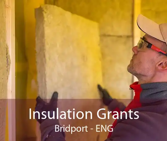 Insulation Grants Bridport - ENG