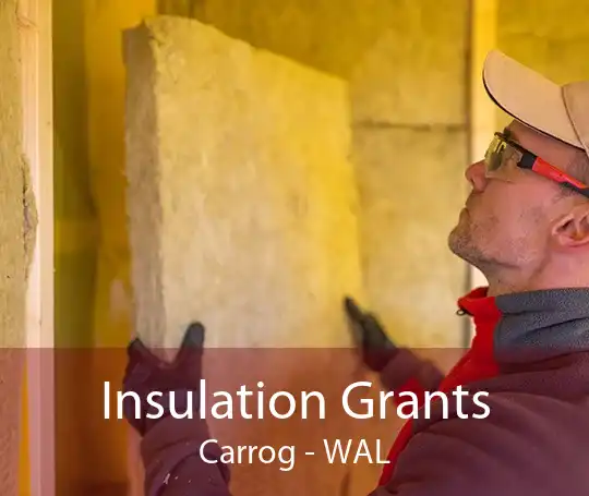 Insulation Grants Carrog - WAL