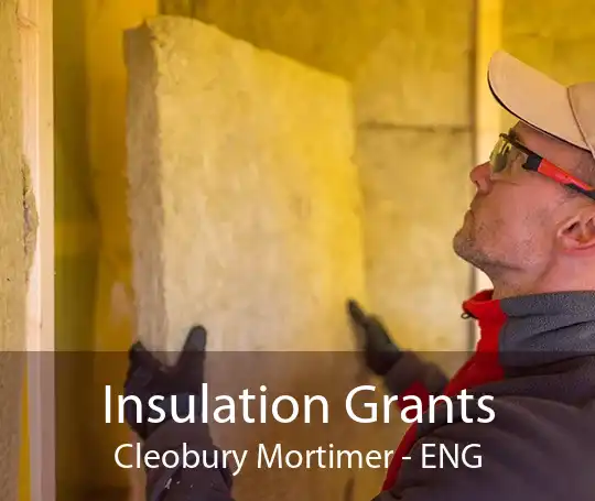 Insulation Grants Cleobury Mortimer - ENG