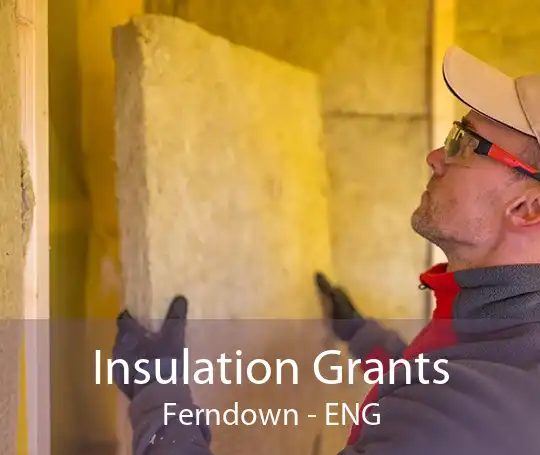 Insulation Grants Ferndown - ENG