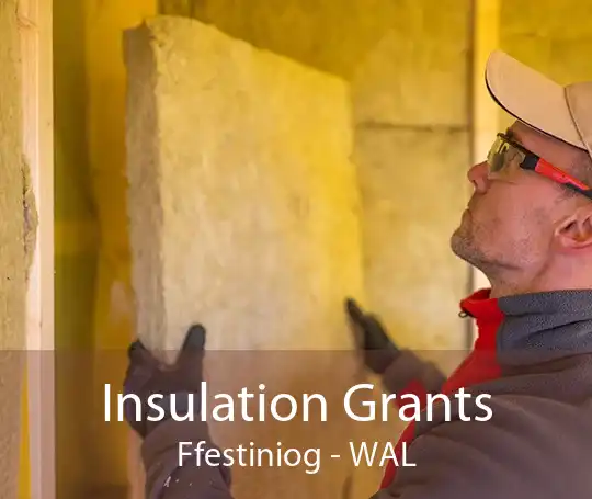 Insulation Grants Ffestiniog - WAL