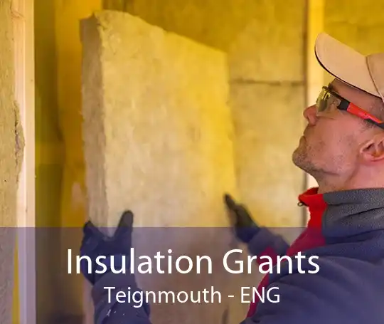 Insulation Grants Teignmouth - ENG