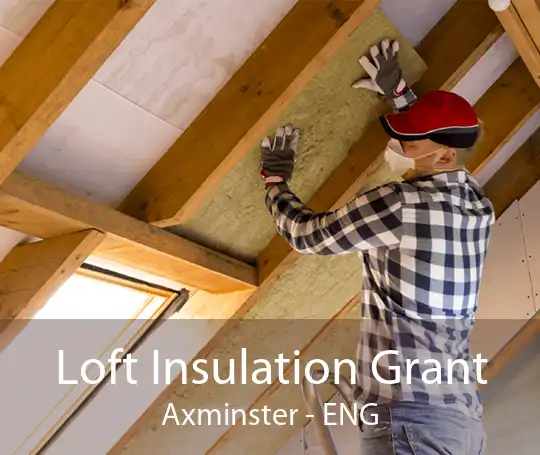 Loft Insulation Grant Axminster - ENG