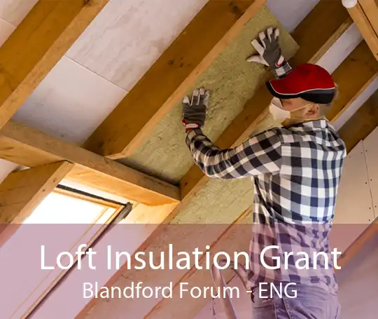 Loft Insulation Grant Blandford Forum - ENG