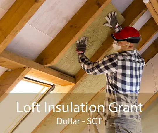 Loft Insulation Grant Dollar - SCT