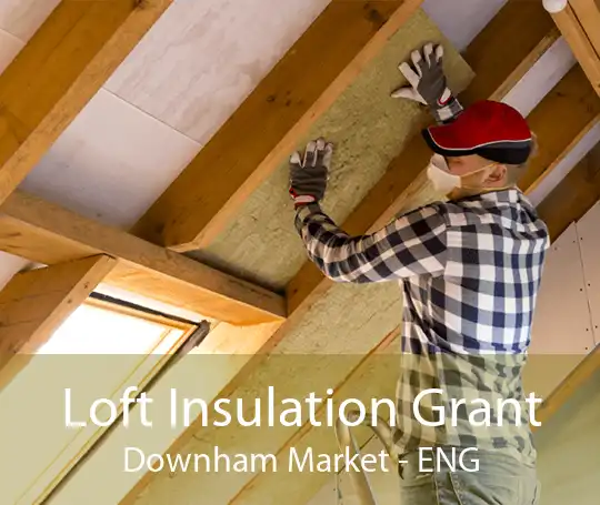 Loft Insulation Grant Downham Market - ENG