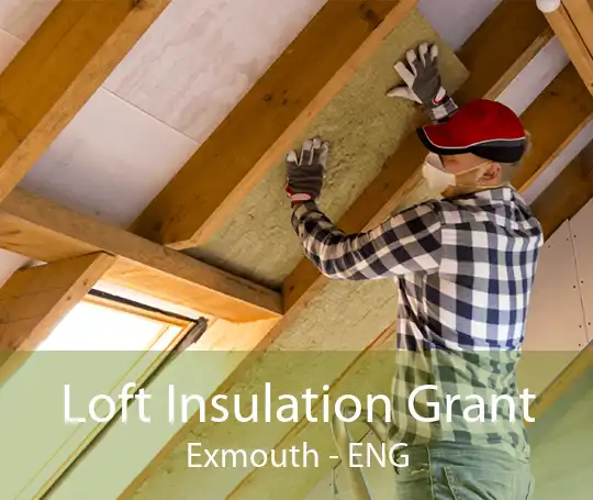 Loft Insulation Grant Exmouth - ENG