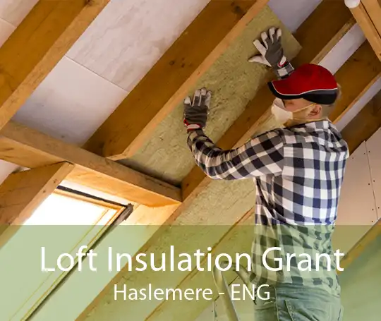 Loft Insulation Grant Haslemere - ENG
