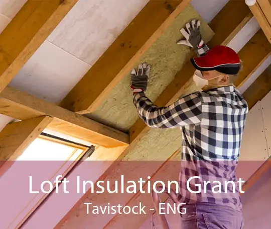 Loft Insulation Grant Tavistock - ENG